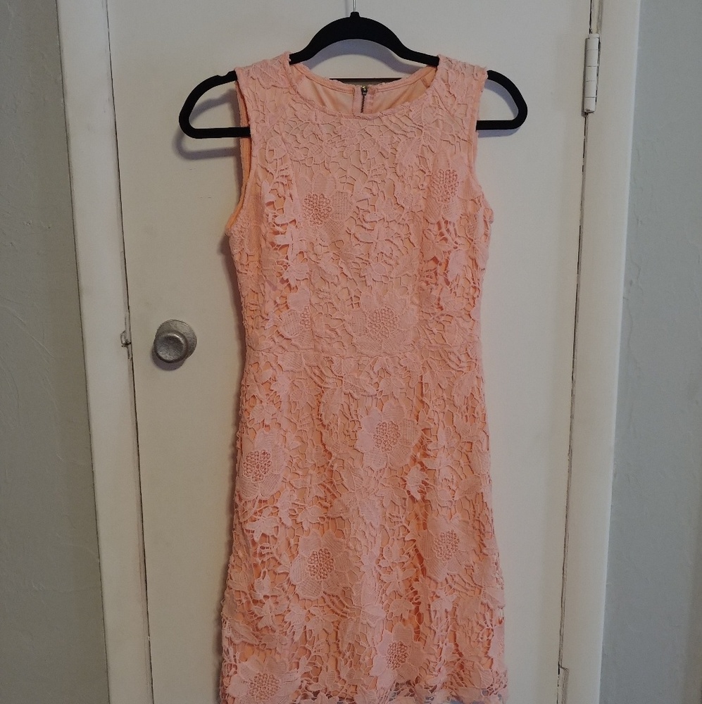 Light Pastel Pink Lace Dress Ryan Michelle